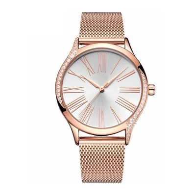 Relógio de aço inoxidável Diamond Casual Watches do quartzo das mulheres de aço contínuas da curvatura
