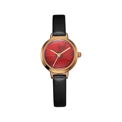 As mulheres à prova de choque de quartzo de Shell Casual Automatic Watch Waterproof olham