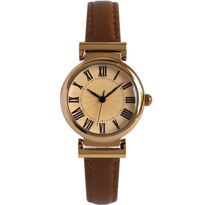 Vidro mineral 30m dos relógios de pulso de Roman Numerals Belt Quartz Battery impermeáveis