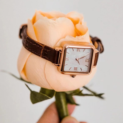 A forma quadrada Roman Watch Slim Belt das mulheres de couro pequenas do relógio de Brown